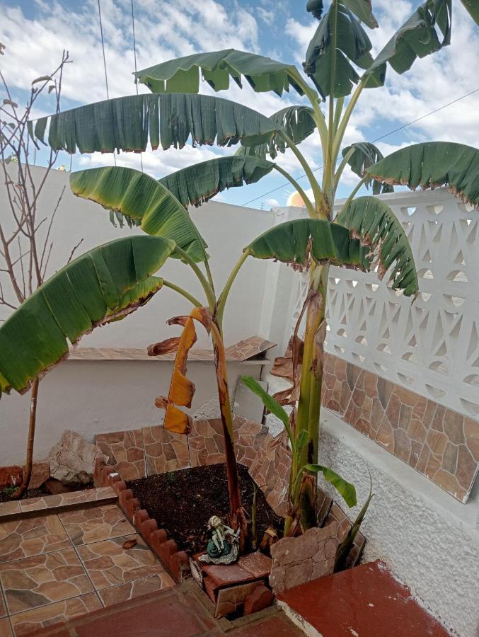 Apartamento Paraiso Del Sol Бенахарафе Екстер'єр фото
